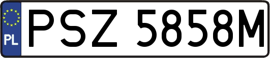 PSZ5858M