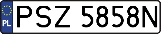 PSZ5858N
