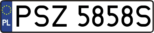 PSZ5858S