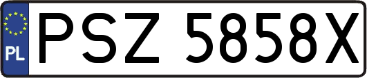 PSZ5858X