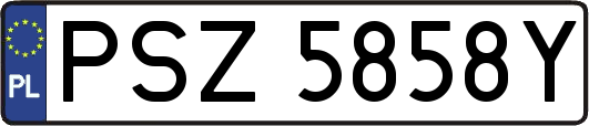 PSZ5858Y