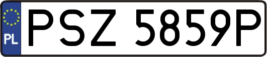 PSZ5859P
