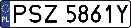 PSZ5861Y