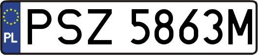 PSZ5863M