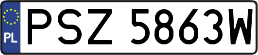 PSZ5863W
