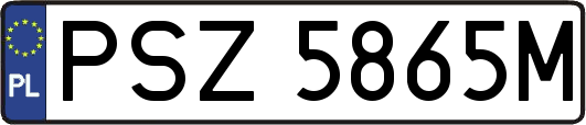 PSZ5865M