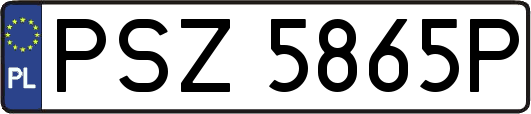 PSZ5865P