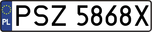 PSZ5868X