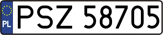PSZ58705