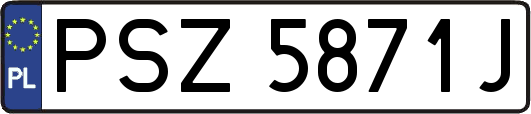 PSZ5871J