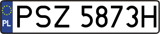 PSZ5873H