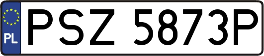 PSZ5873P