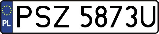 PSZ5873U