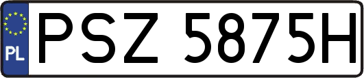 PSZ5875H