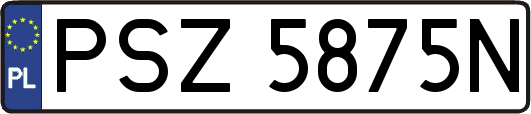 PSZ5875N