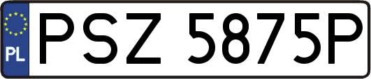 PSZ5875P