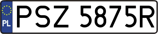 PSZ5875R