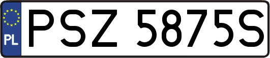 PSZ5875S