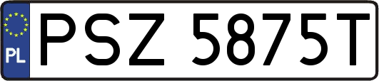 PSZ5875T