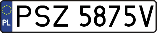 PSZ5875V
