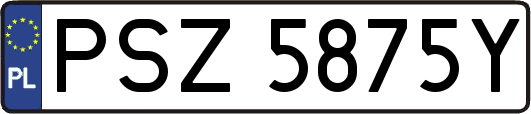 PSZ5875Y