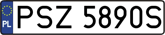 PSZ5890S