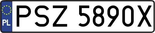 PSZ5890X