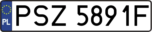PSZ5891F