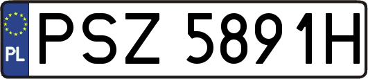 PSZ5891H