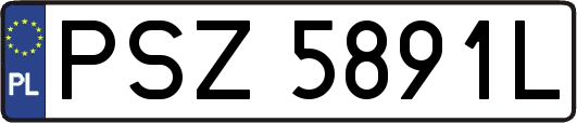 PSZ5891L