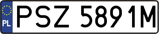 PSZ5891M