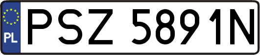 PSZ5891N