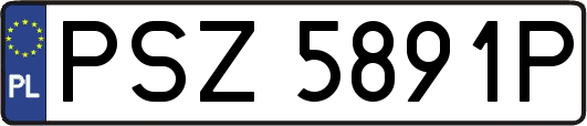 PSZ5891P