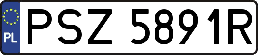 PSZ5891R