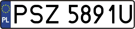 PSZ5891U