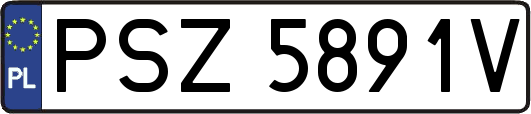 PSZ5891V
