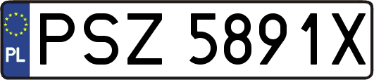 PSZ5891X
