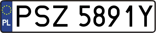 PSZ5891Y