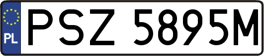 PSZ5895M