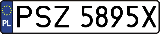 PSZ5895X