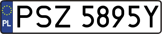 PSZ5895Y