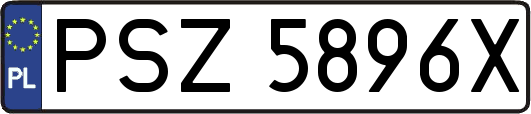 PSZ5896X