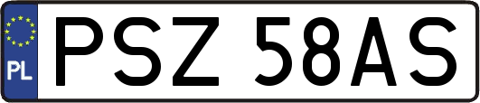PSZ58AS