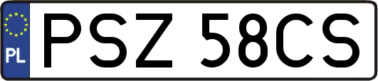 PSZ58CS