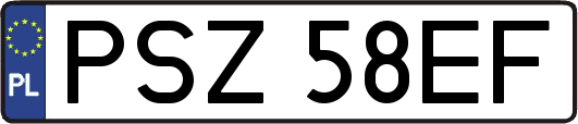 PSZ58EF