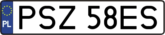 PSZ58ES