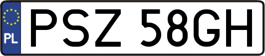PSZ58GH