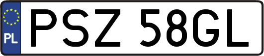PSZ58GL