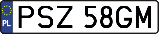 PSZ58GM