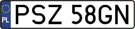 PSZ58GN
